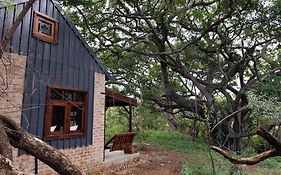 Bethesda Mountain Lodge